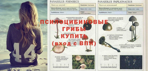 прущий лед Михайлов